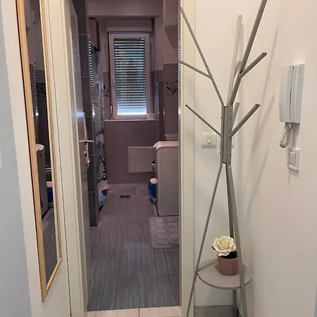 Tigar Apartament